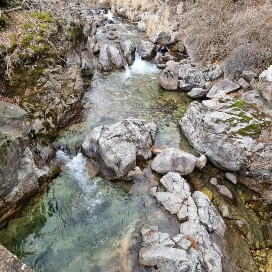 영월군 무릉도원면 전망최고 계곡근처 땅 팝니다.