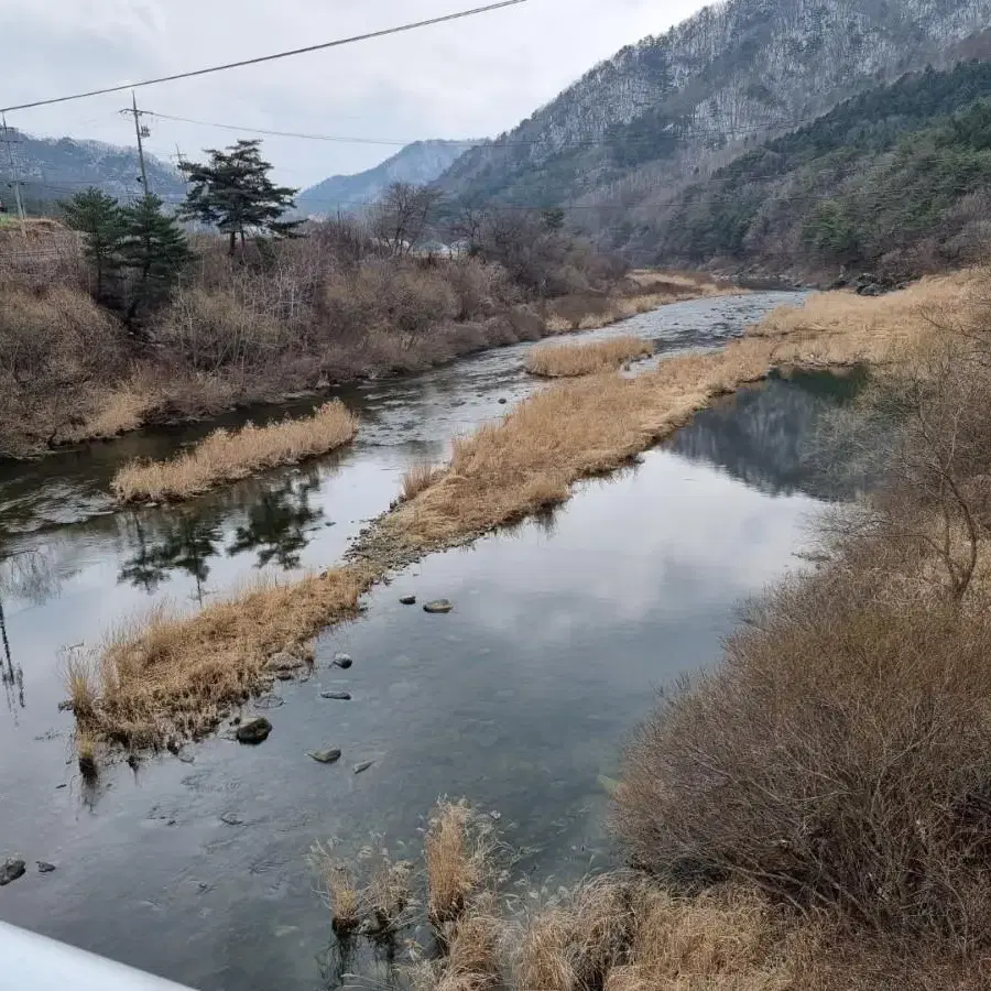 영월군 무릉도원면 전망최고 계곡근처 땅 팝니다.