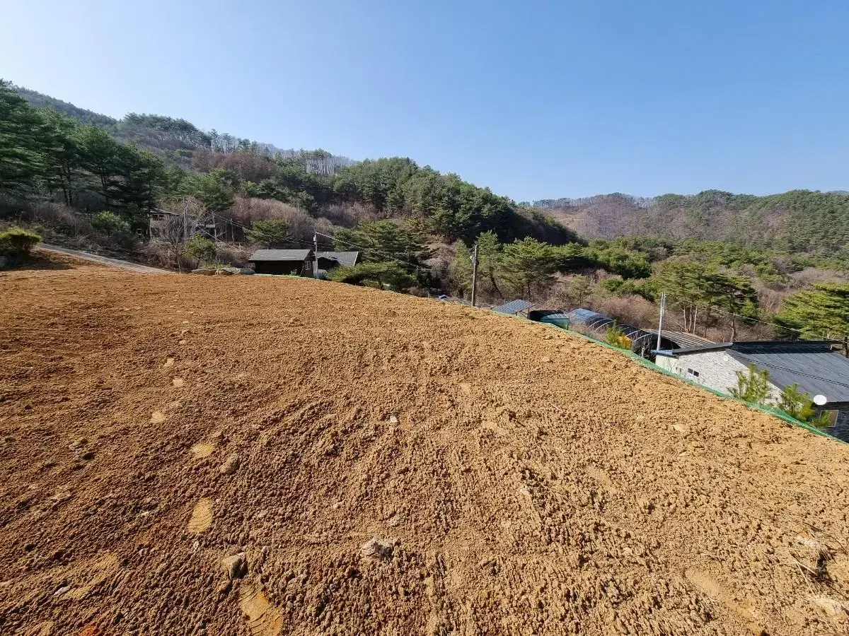 영월군 무릉도원면 전망최고 계곡근처 땅 팝니다.