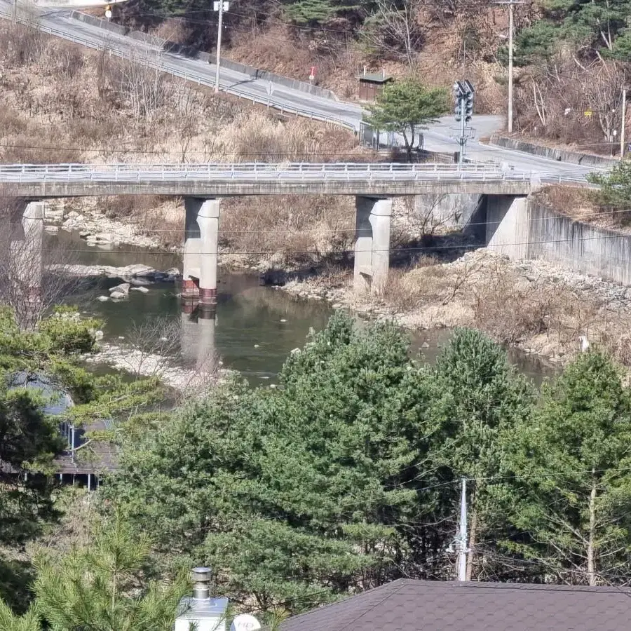 영월군 무릉도원면 전망최고 계곡근처 땅 팝니다.