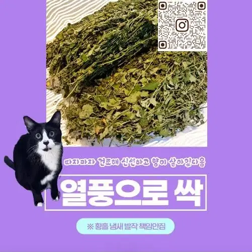 고양이 간식 키키네 캣닢/캣닙 30g 벌크 가성비 포장