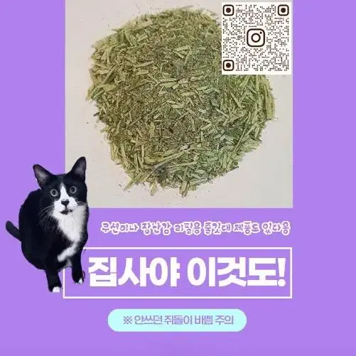 고양이 간식 키키네 캣닢/캣닙 30g 벌크 가성비 포장