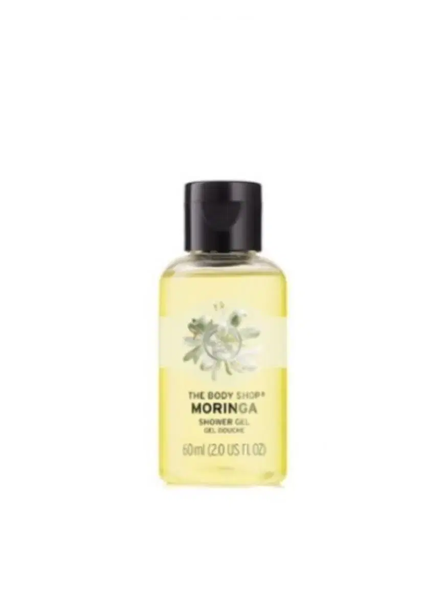 New Product) The Body Shop Moringa Shower Gel