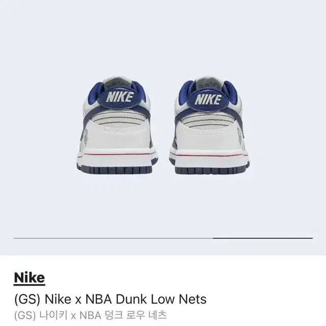 나이키 덩크 NBA X 네츠