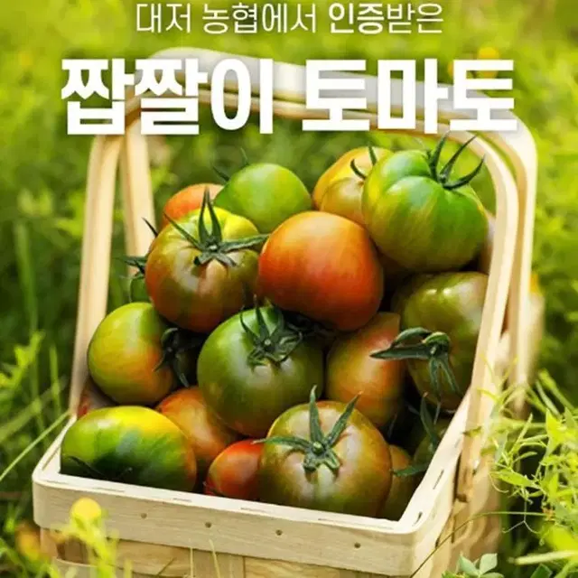 [무배] 대저농협인증 짭짤이 토마토 2.5kg     (식품)