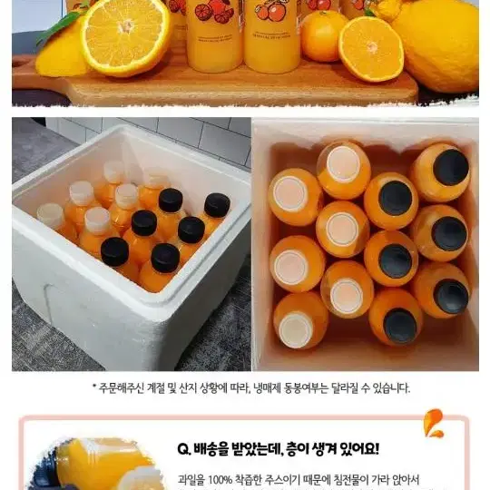 제주한라봉천혜향100프로착즙주스12병 340ml