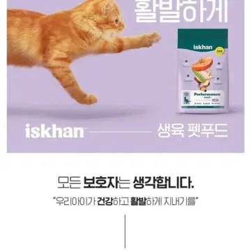 무료배송]이즈칸 캣 버라이어티 유리너리 다이어트 5Kg*2개 고양이사료 | 브랜드 중고거래 플랫폼, 번개장터