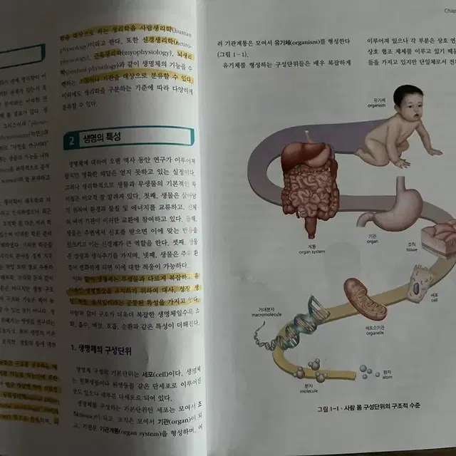 인체생리학_에듀팩토리