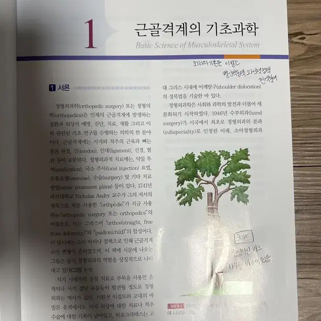 학생을 위한 정형의학_군자출판사