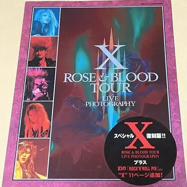 엑스 제팬 ROSE&BLOOD TOUR 요시키, 히데,타이지 화보 팝니다