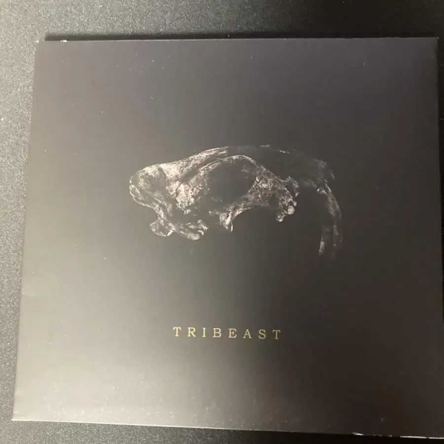 던말릭 tribeast 사인반 cd