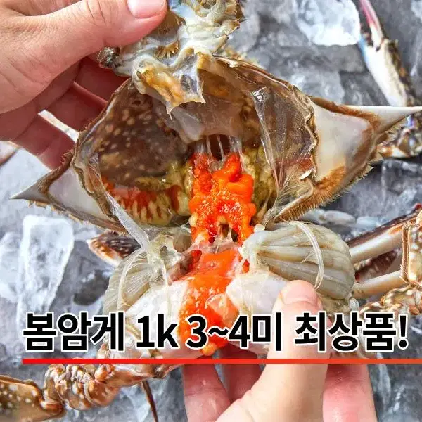 냉동꽃게 봄암꽃게  알배기꽃게 간장게장용 암꽃게 1kg 3~4마리 최상품