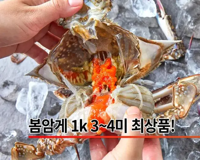 냉동꽃게 봄암꽃게  알배기꽃게 간장게장용 암꽃게 1kg 3~4마리 최상품