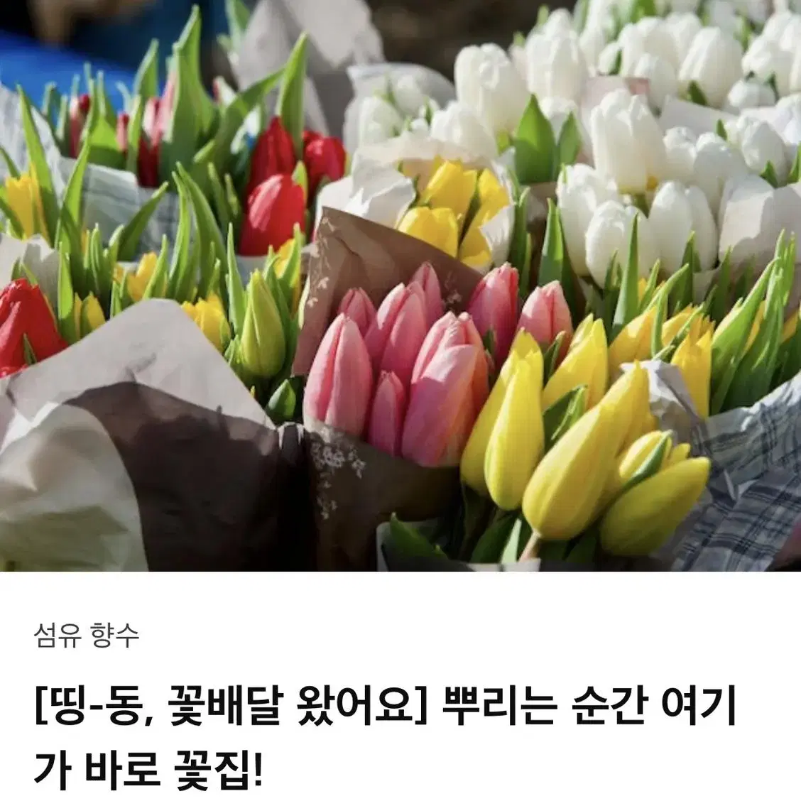 텀블벅 향수 판매 및 교환