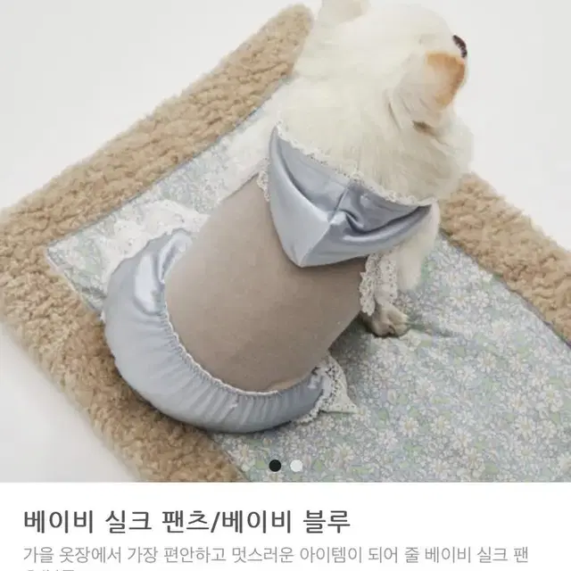 (최저가)루이독 베이비 실크팬츠 베이비블루 텍달린 새상품