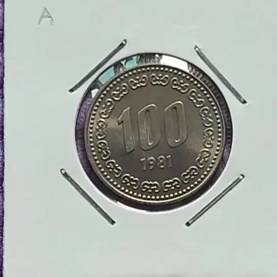 1981년 마사용 100원