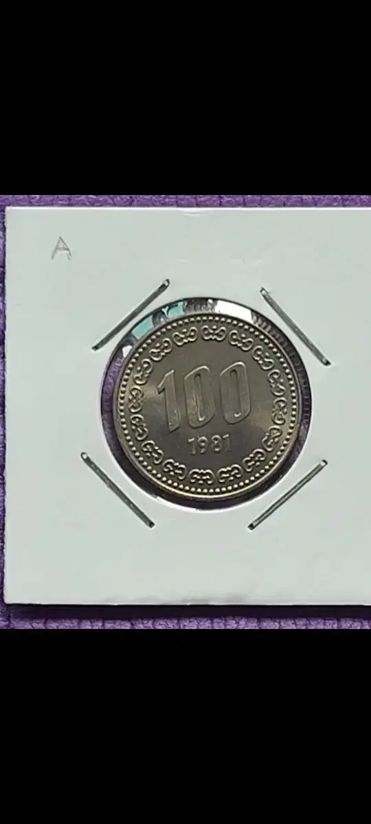 1981년 마사용 100원