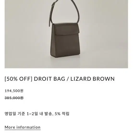 드마스 드와백 droit bag 리자드 브라운