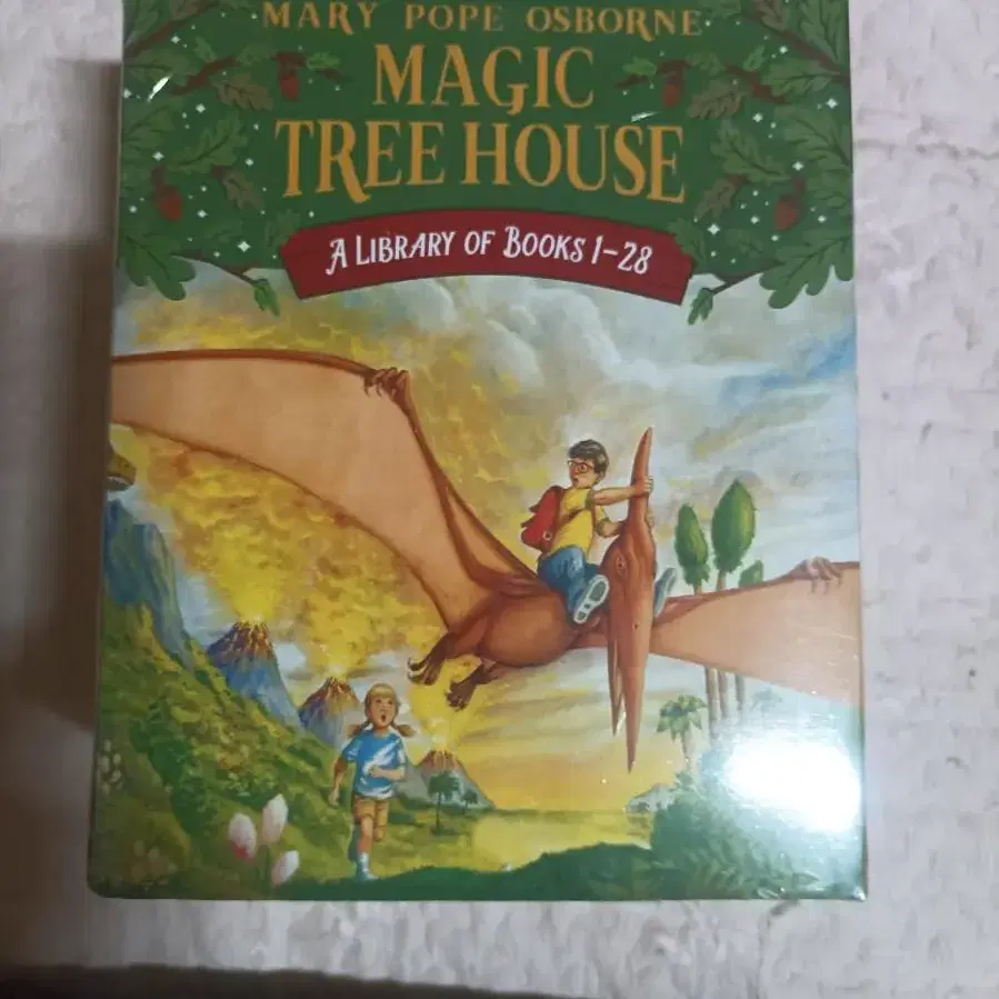 영어 원서 (magic tree house) 입니다