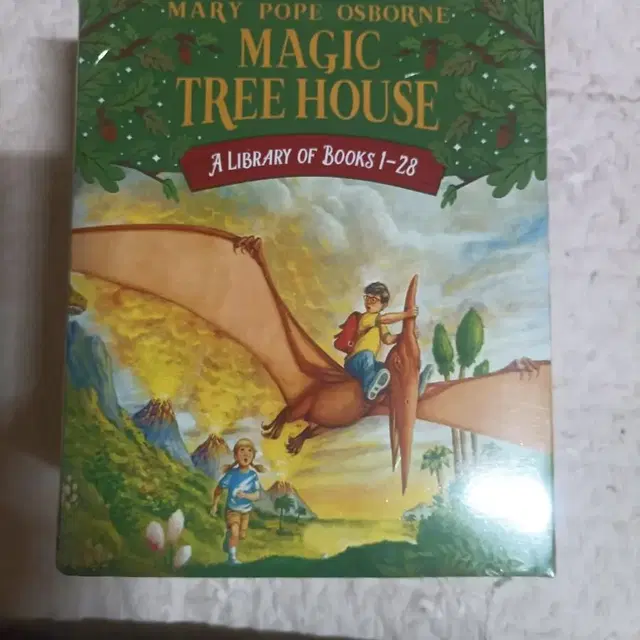 영어 원서 (magic tree house) 입니다