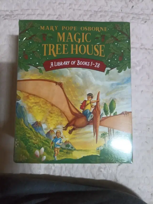 영어 원서 (magic tree house) 입니다