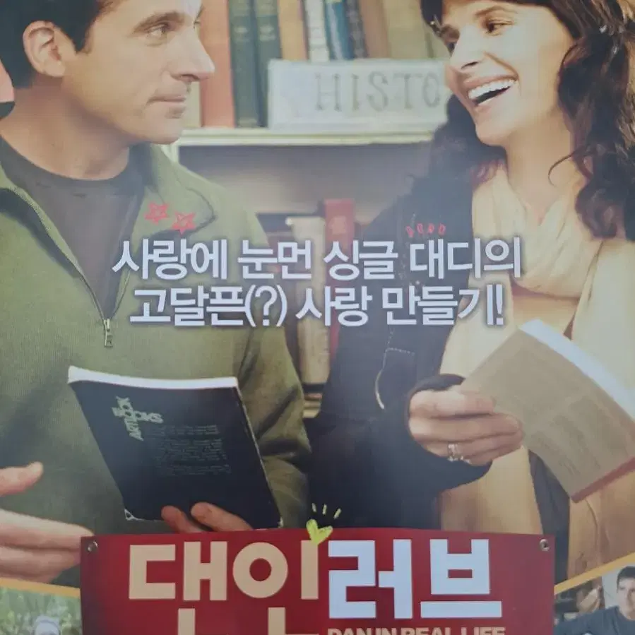 댄인러브 영화 팜플렛 전단지