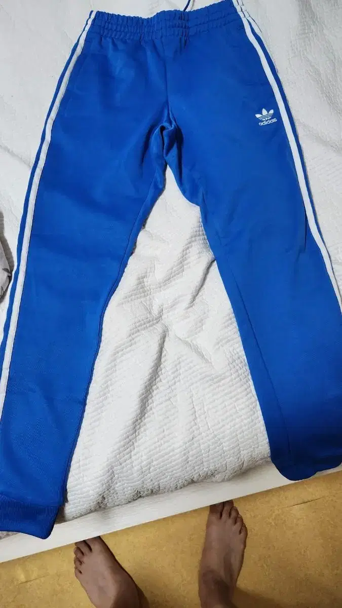 AdidasTraining Pants For Sale