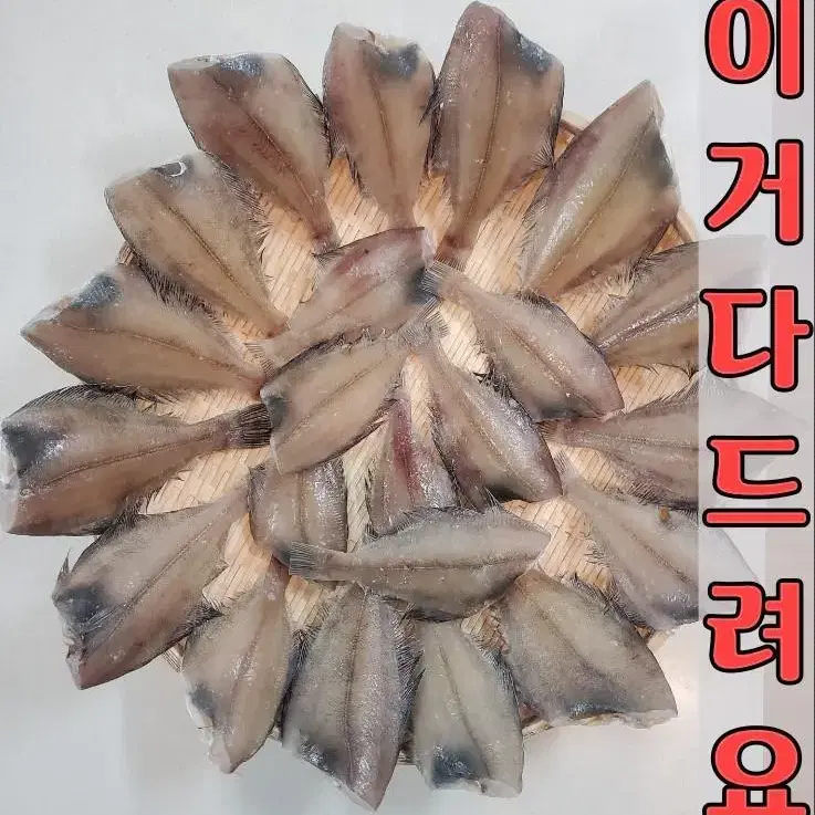 반건조가자미