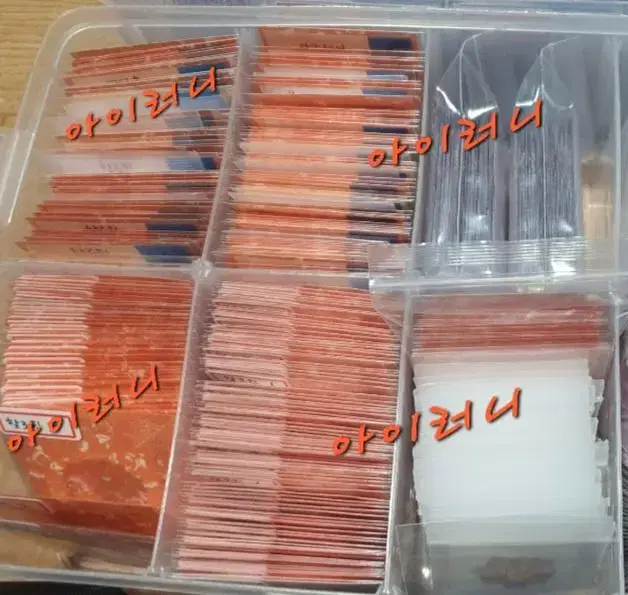 22년도 출판된  포켓몬 할로윈 띠부씰 판매[글 읽고 챗 주세요 ]