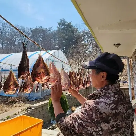 반건조 민어/국산민어/건민어/자연산/해풍에 말린 민어