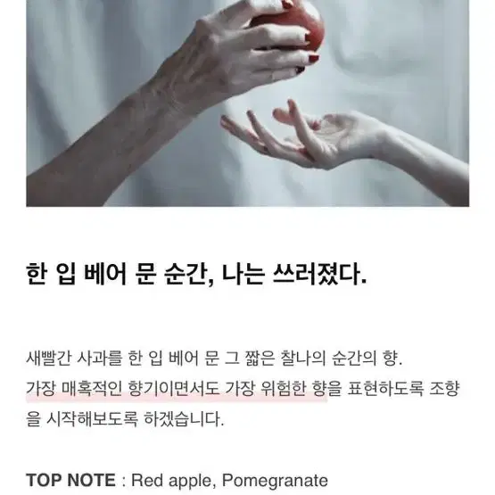 텀블벅 레드애플 향수