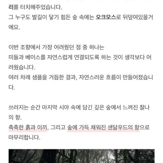 텀블벅 레드애플 향수