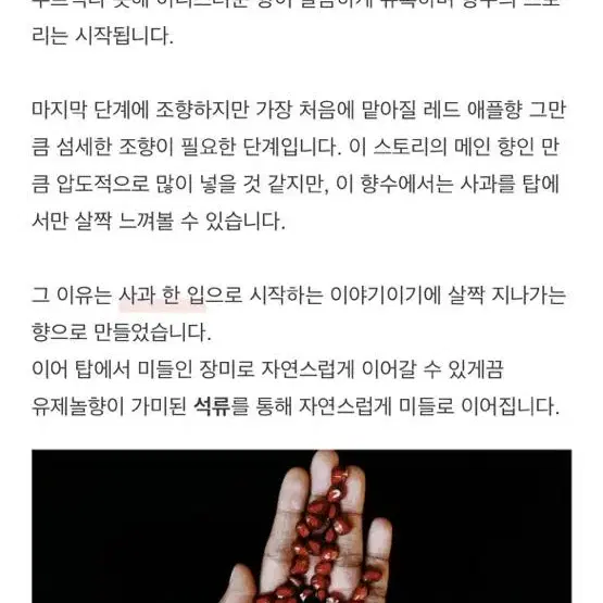 텀블벅 레드애플 향수