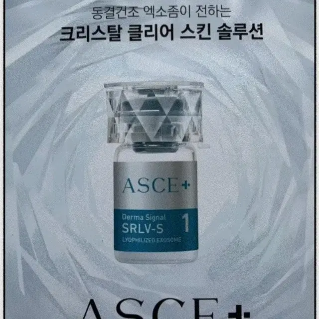 엑소좀 asce