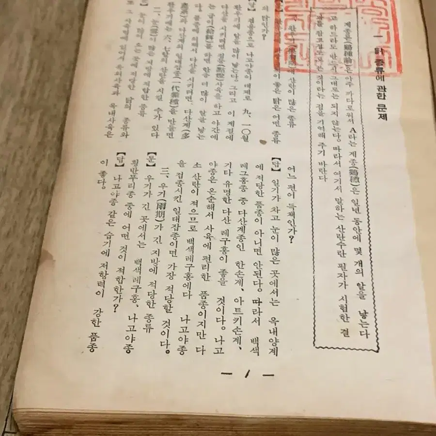 1960년양계난점오백문답