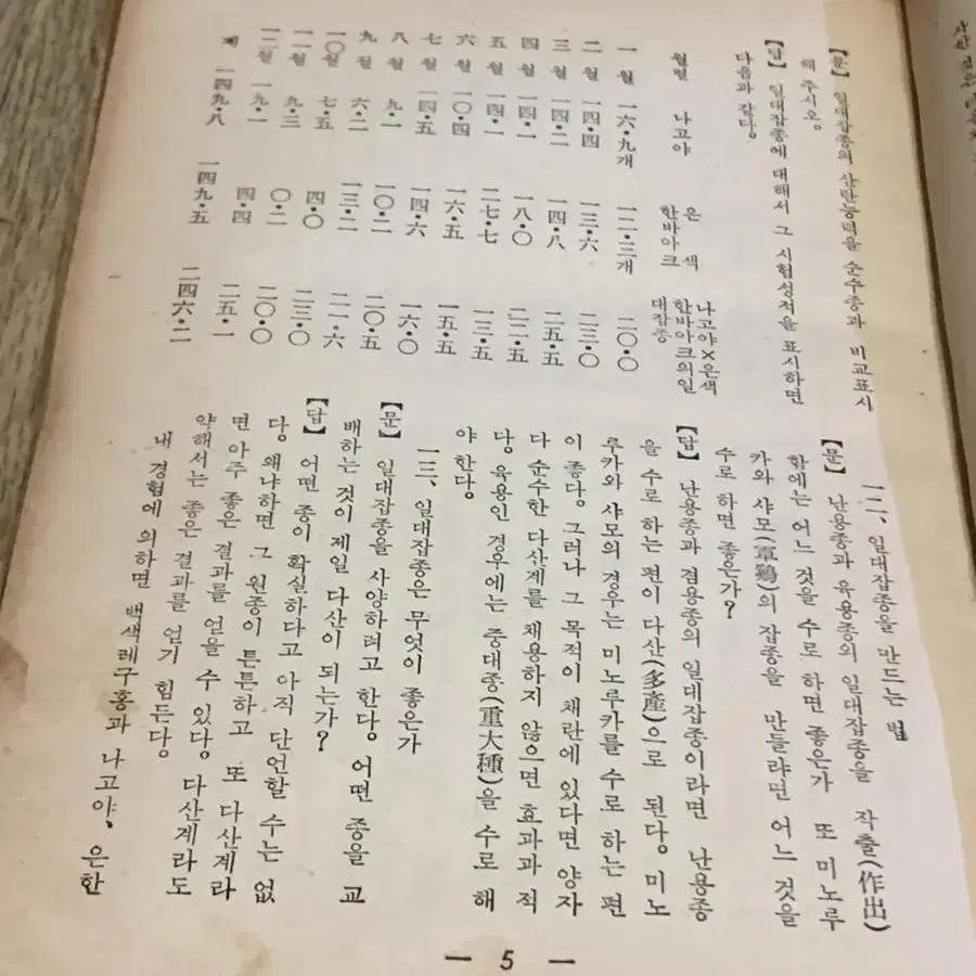 1960년양계난점오백문답