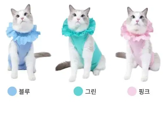 고양이 강아지 중성화 수술복 판매