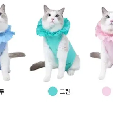 고양이 강아지 중성화 수술복 판매