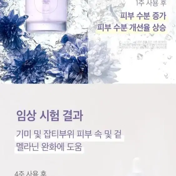 시초 콘플라워 브라이트닝 세럼