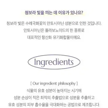 시초 콘플라워 브라이트닝 세럼