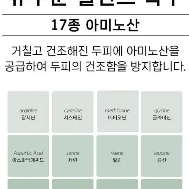 퐁당 안티 헤어 로스 패스트 샴푸