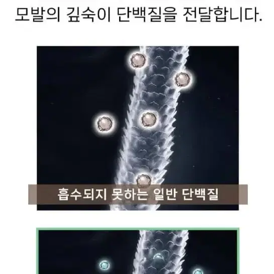 퐁당 안티 헤어 로스 패스트 샴푸