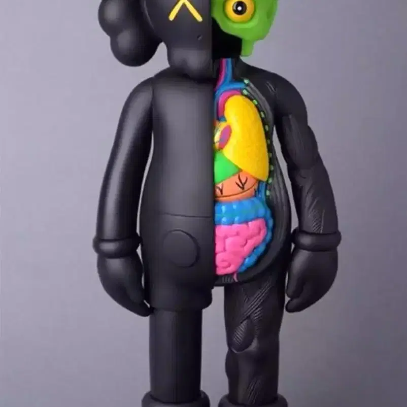 카우스 해부도 블랙 Kaws Companion Flayed black