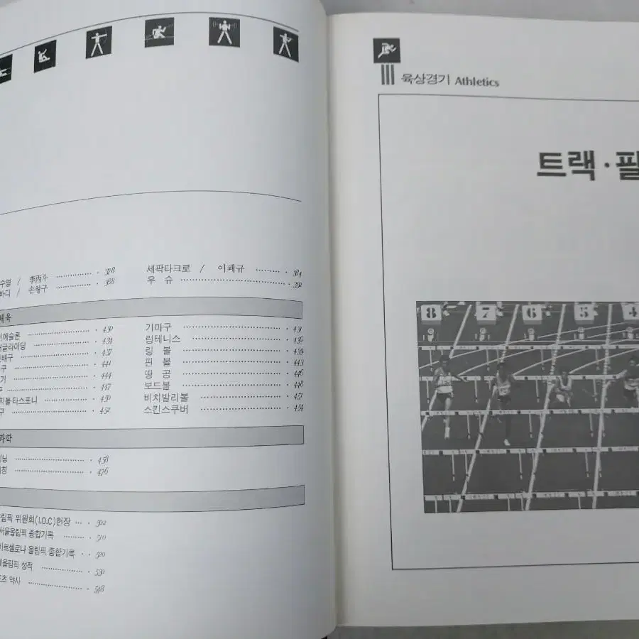 근현대사 교양 도서 스포츠 대사전 2권