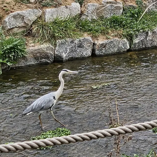 안전결제용