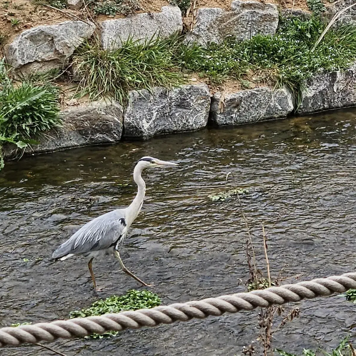 실내복6장