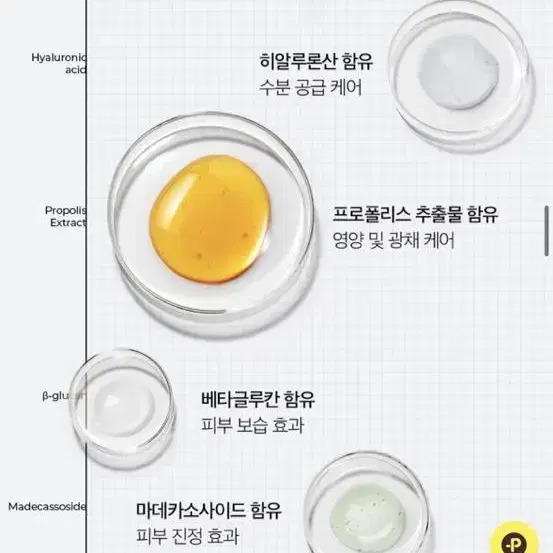 [미개봉/새상품] CNP 차앤박 프로폴리스 에너지 액티브 앰플 35ml