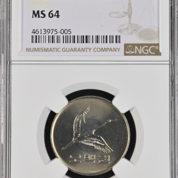 1982년  500원 NGC MS 64