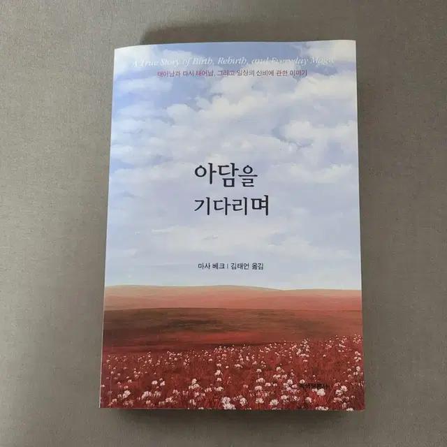 아담을 기다리며 마사 베크 에세이집 수필집 산문집 외국에세이 책 도서