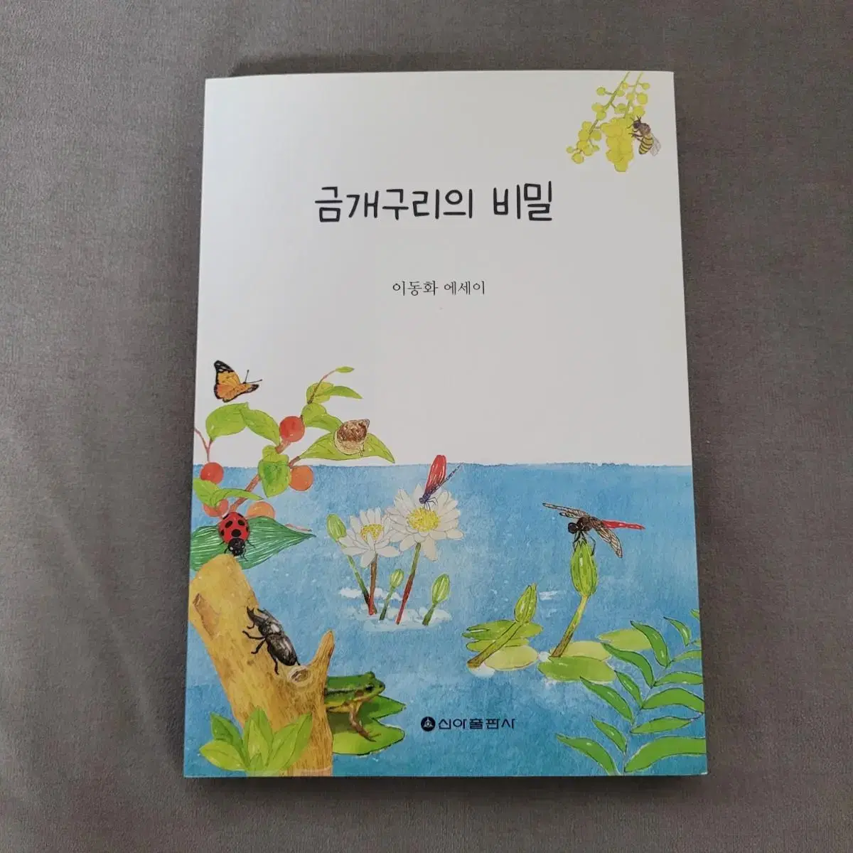 금개구리의 비밀 이동화 에세이집 수필집 산문집 책 도서 추천